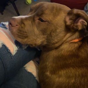 Meet your Posher, Chloe